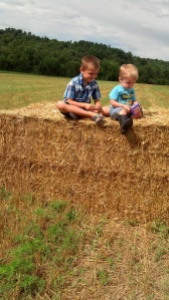 Maybe future wheat-growers, Waylan and Dylan. 