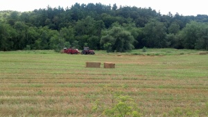 Neighbor Fred baling the straw. 