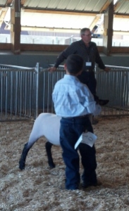 Nephew Kevin, his grand champion market lamb and the judge. 