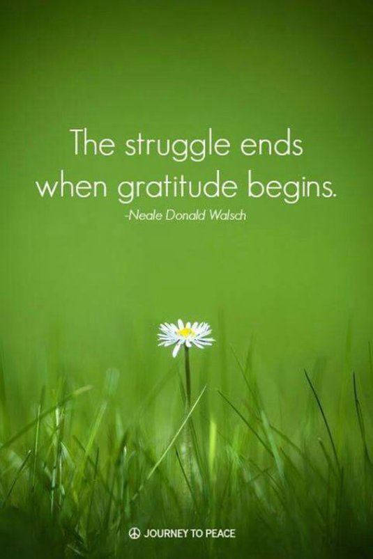 Gratitude begins